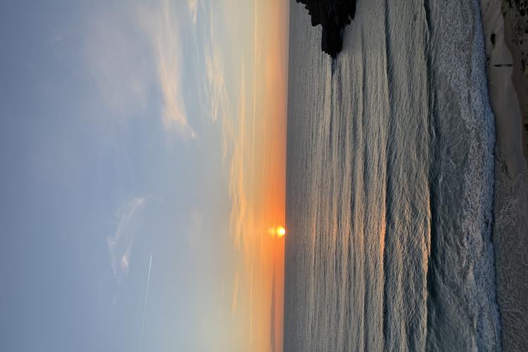 Disfruta de un entorno único 